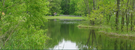 Seven Eagles Pond